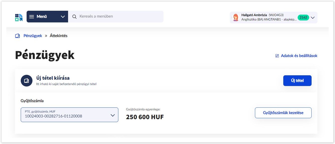 Neptun hallgatói webes felület dokumentáció 2025.1 > Tétel kiírás > Új tétel1.JPG (Új tétel - Áttekintés) Új tétel - Áttekintés